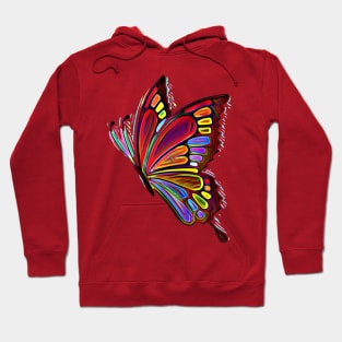 Artistic Butterfly Decoration 3 Hoodie